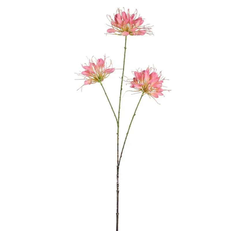 Gartenblume - Rosa Spinnenblume Spray, Polyesterstoff, Halbhändig gefertigt | PTMD