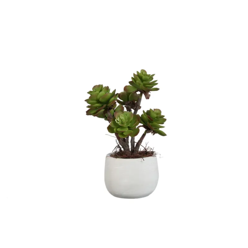 Kunstpflanze - Dunkelgrüne Aeonium, Zementtopf, Kunststoff – M | PTMD