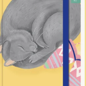 Auf dem Buchcover liegt eine graue Katze, die sich in einer entspannten Position zusammenrollt. Der Hintergrund ist in einem warmen Gelbton gehalten, was eine freundliche Atmosphäre schafft. Oben rechts steht in einer sanften Schrift der Text „my NOTES“. Unterhalb der Katze sind bunte, geometrische Muster zu erkennen, die den Eindruck von Lebendigkeit vermitteln. Ganz unten mittig steht der Logoschriftzug von arsEdition.