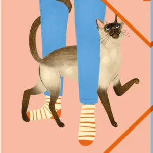 Das Buchcover zeigt eine freundliche Szene mit einer Person in blauen Jeans und bunten Socken. Über dem Fuß der Person schleicht eine Siamkatze mit leuchtend blauen Augen sowie einem samtigen, hellen Fell und dunklen Abzeichen, was eine warme Atmosphäre vermittelt. Der Hintergrund ist in sanften Rosa-Tönen gehalten. In der oberen rechten Ecke ist der Schriftzug „my NOTES“ in lebhaftem Orange zu sehen. Ganz unten mittig steht der Logoschriftzug von arsEdition.
