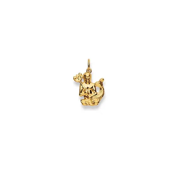 Gold-Classics Anhänger „Wassermann“ aus 750 Gelbgold - 1154.06020/0020