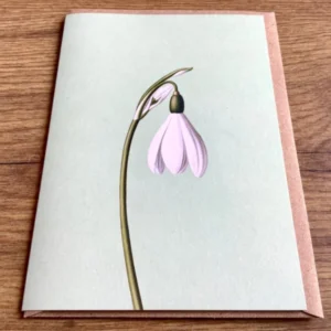 Doppel-Klappkarte Frühblüher ("30x40“) Leporellokarte° - Polly Paper - Umweltfreundliche Schreibwaren