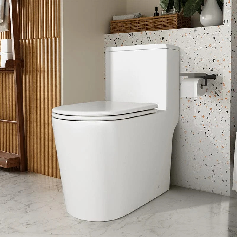 Modern Small One-Piece Floor-Mount Toilet 1.0/1.28 GPF Dual Flush and Soft Close Seat